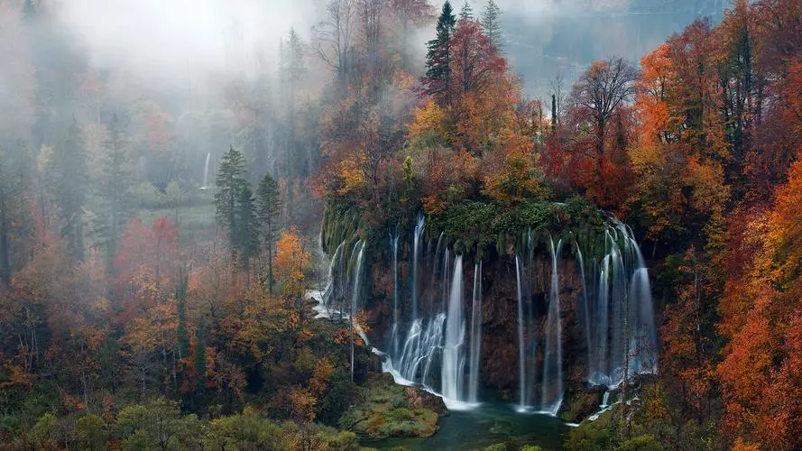 绿色创意高标准